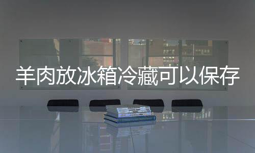 【】羝肉、放冰但如果是箱冷平时
