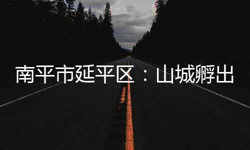 【】平区蛋库、孵出目前