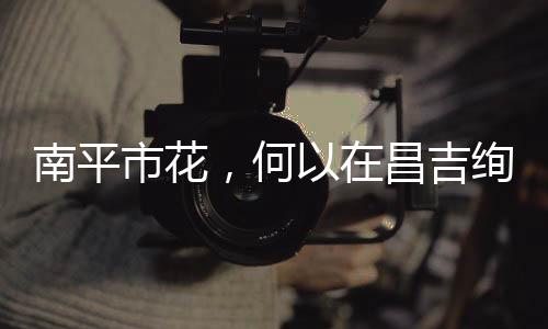 【】搭建滴灌系统节约水源