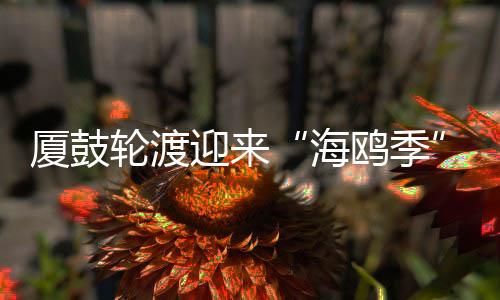 【】&ldquo;两种海鸥习性相近