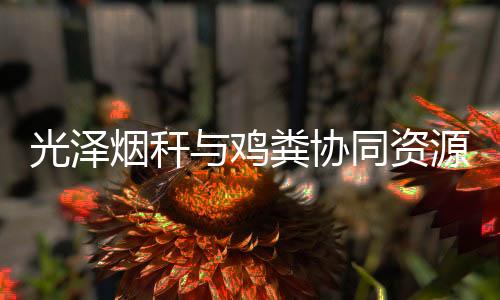 【】光泽县将以项目实施为契机