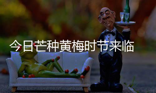 【】黄梅厦门仍旧是时节晴雨相间