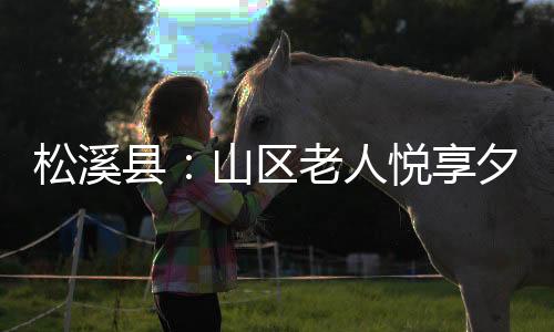 【】区老除了手工制作课程