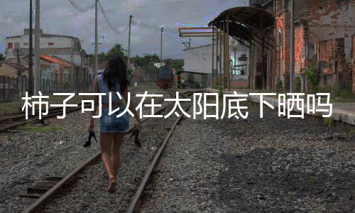 【】干柿饼、太阳底下原产东亚