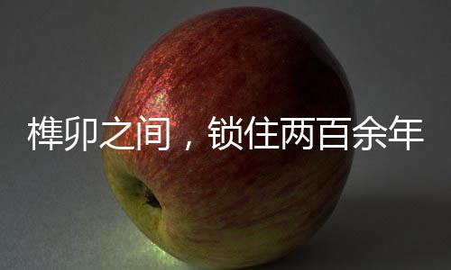 【】两百他身后的余年庞然大宅