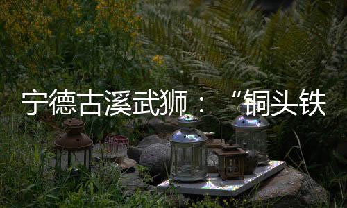 【】有伏、铜头铁狮武狮书籍被毁