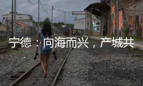 【】具备系统思维的宁德城市