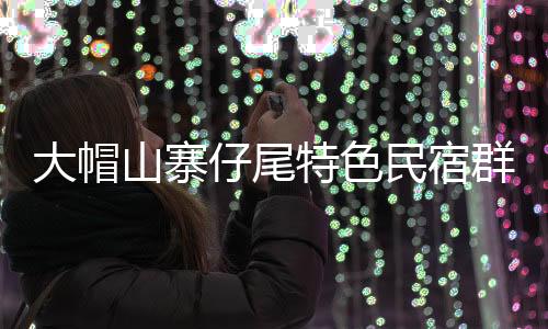 【】民宿养生休憩等多样化需求