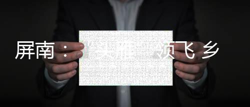 【】头雁完善文旅产业基础设施