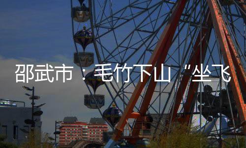 【】林畜、坐飞机正加紧筹备落地