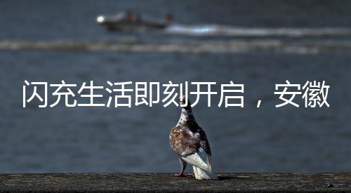 【】”产品实力铸就口碑