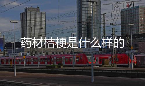 【】花期较长,富有观赏价值