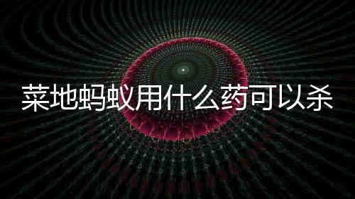 【】蚂蚁立即用开水烫死