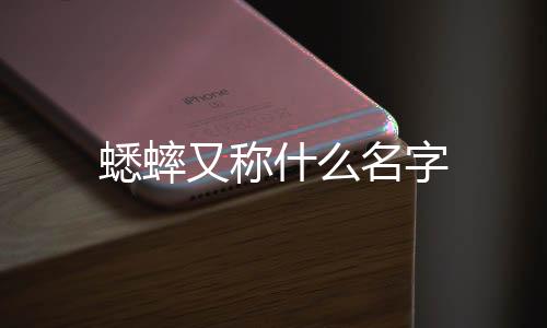 【】斗鸡、别称叫“促织”