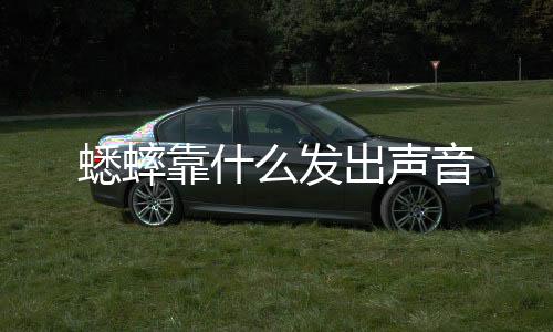 【】俗名蛐蛐、蟋蟀土蜇