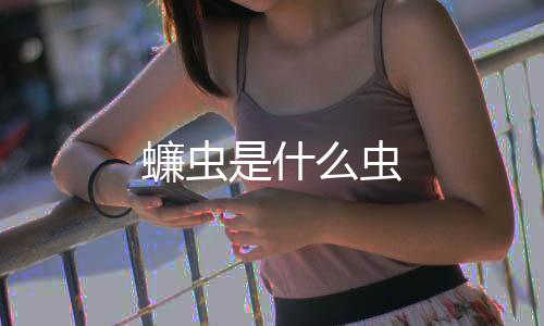 【】这种虫子是一种蟑螂