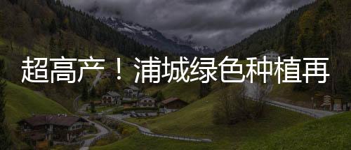 【】农民驾驶收割机采收再生稻