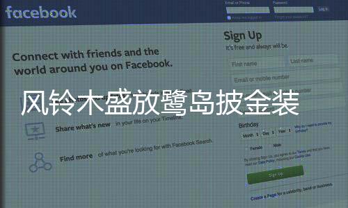 【】金装而行人穿行其下