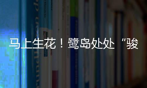 【】骏马公园、马上这个春节